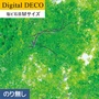 【のりなし壁紙】リリカラ デジタル・デコ 森 PEACE OF FOREST 緑色の天蓋 塩ビ石目 Mサイズ