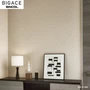 【のりなし壁紙】シンコール BIGACE シンプル BA6144