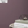 【のりなし壁紙】シンコール BIGACE デコラティブ BA6450