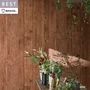 壁紙 のり付き シンコール ベスト 木目調 巾93cm BB2492