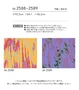 壁紙 のり付き シンコール ベスト モダン調 巾92.5cm BB2588・BB2589