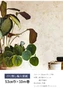 輸入壁紙 のり無し TECIDO select PAE103681254~ (53cm×10m)【掲載品番】PAE103681254 / PAE103689677