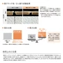 耐クラック試験結果