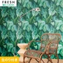 壁紙 のり付き ルノンフレッシュ パターン 巾92.5cm RF-3160
