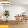 壁紙 のり付き チャレンジセット (スリット壁紙90cm巾+道具) 30m SP2501