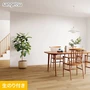 壁紙 のり付き スリット壁紙 (ミミなし) サンゲツ SP2501