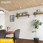 壁紙 のり付き スリット壁紙 (ミミなし) サンゲツ SP2526 (旧SP9759)