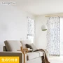 壁紙 のり付き (ミミ付き) サンゲツ SP2579 (旧SP9777)(巾92.5cm)