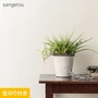 壁紙 のり付き (ミミ付き) サンゲツ SP2580 (旧SP9801)(巾92.5cm)