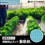 飛散防止ネット 農業用ネット 日本ワイドクロス 散防紗