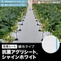 防草シート アグリシート シャインホワイト 日本ワイドクロス サイズオーダー