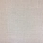 【訳あり】 のり付き壁紙 サンゲツ ファイン 抗ウイルス壁紙 FE74730 92.5cm×23m