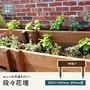 段々花壇 家庭用 天然木 ウリン 300×105 1枚貼り　20mm厚