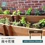 段々花壇 家庭用 天然木 ウリン 450×105 1枚貼り　20mm厚